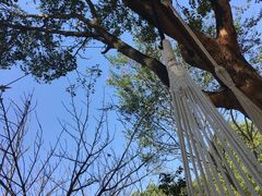 -武汉开心果园农业发展有限公司