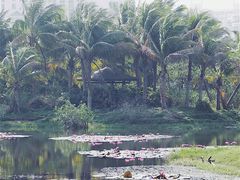 -白沙门生态公园