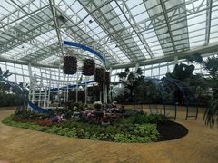 -石家庄市植物园