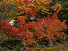 -醍醐寺