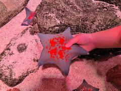 -沈阳海洋探索中心