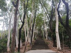 -福神岗公园