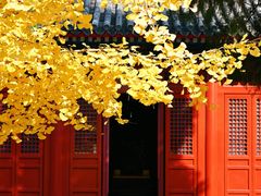 -承恩寺