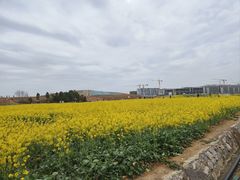 -白鹭湾湿地公园