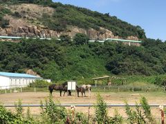 -平湖九龙山旅游度假区
