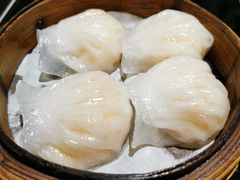 -高第街56号餐厅(泰安万达店)