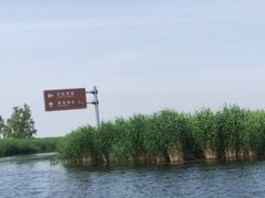 -白洋淀风景区