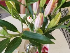 -谷莠子花艺气球派对·绿植造景·花艺沙龙(东海缤纷天地店)