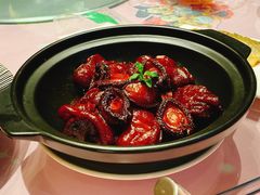 -沪碟·精菜坊(闵行店)