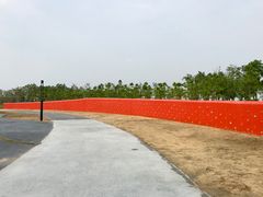 -春花秋色城市公园