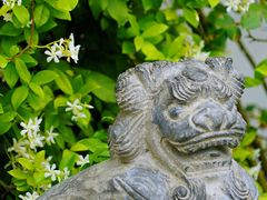 -白鹭湾湿地公园