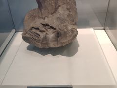 -金钉子远古世界景区