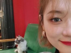 -猫色咖啡·猫咖