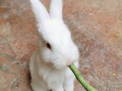 -正佳雨林生态植物园