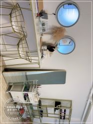 -纹绣阁·纹眉眼唇品牌