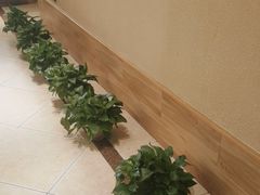 -九转小磨·东北菜老字号(祥安店)