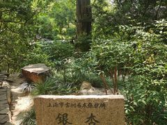 -秋霞圃