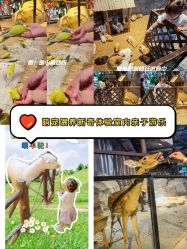 -酷嗒动物文化乐园(cutezoo西溪乐天城店)