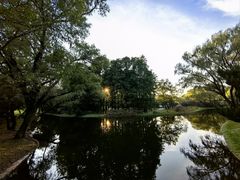 -上海共青森林公园