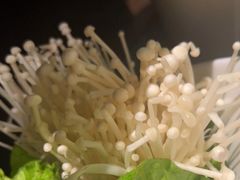-掂档潮汕牛肉火锅(沈阳万象城店)