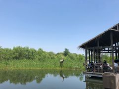 -溱湖国家湿地公园