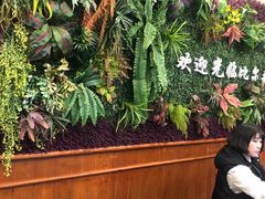 -比尔森韩式烤肉自助(国商店)