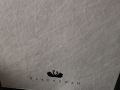 -BLACKSWAN黑天鹅(环球店)