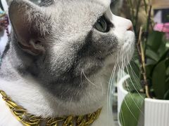 -百金通黄金回收首饰定制维修(珠江路总部)