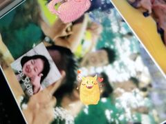 -重庆海昌加勒比海水世界