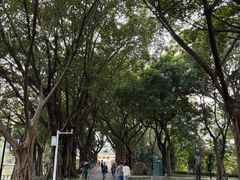 -广州雕塑公园