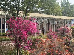 -盈香心动乐园