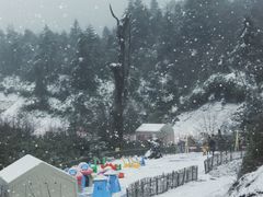 -龙苍沟森林公园