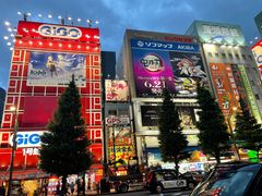 -秋叶原电器街