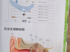 -自然之声助听器·呼吸机(和平店)