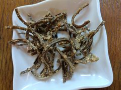 -乐山第一家临江鳝丝(茶坊路店)