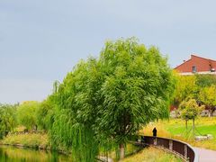 -西海子公园