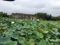 -苏家围·东江画廊旅游景区