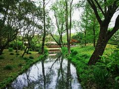 -上海共青森林公园