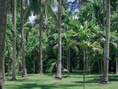 -中国科学院西双版纳热带植物园