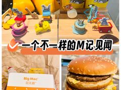 -麦当劳(塔园路店)