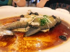 -陶缘一号·四季缘·老字号顺德菜·户外婚礼家宴(西滘店)
