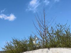 -北京园博大酒店