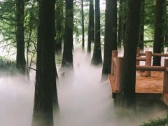 -东湖落雁景区