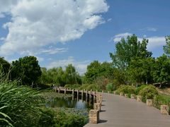 android_upload_pic-西昌邛海湿地