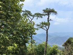 -莫干山风景区