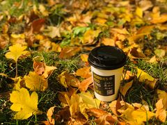 -ZING COFFEE 镜咖啡