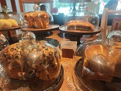 -The Lounge大堂酒廊·咖啡·沙拉·下午茶(金茂深圳JW万豪酒店)