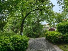 -东钱湖旅游度假区