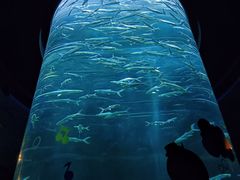 -香港海洋公园