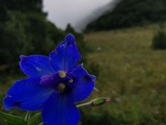 -白草畔自然风景区